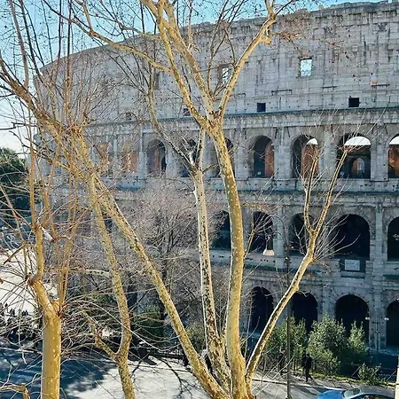 New Colosseum's Custodian - 115 M2 *